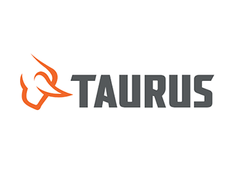 Taurus Firearms in Elkins, WV at Rich Mountain Trading & Pawn Co.